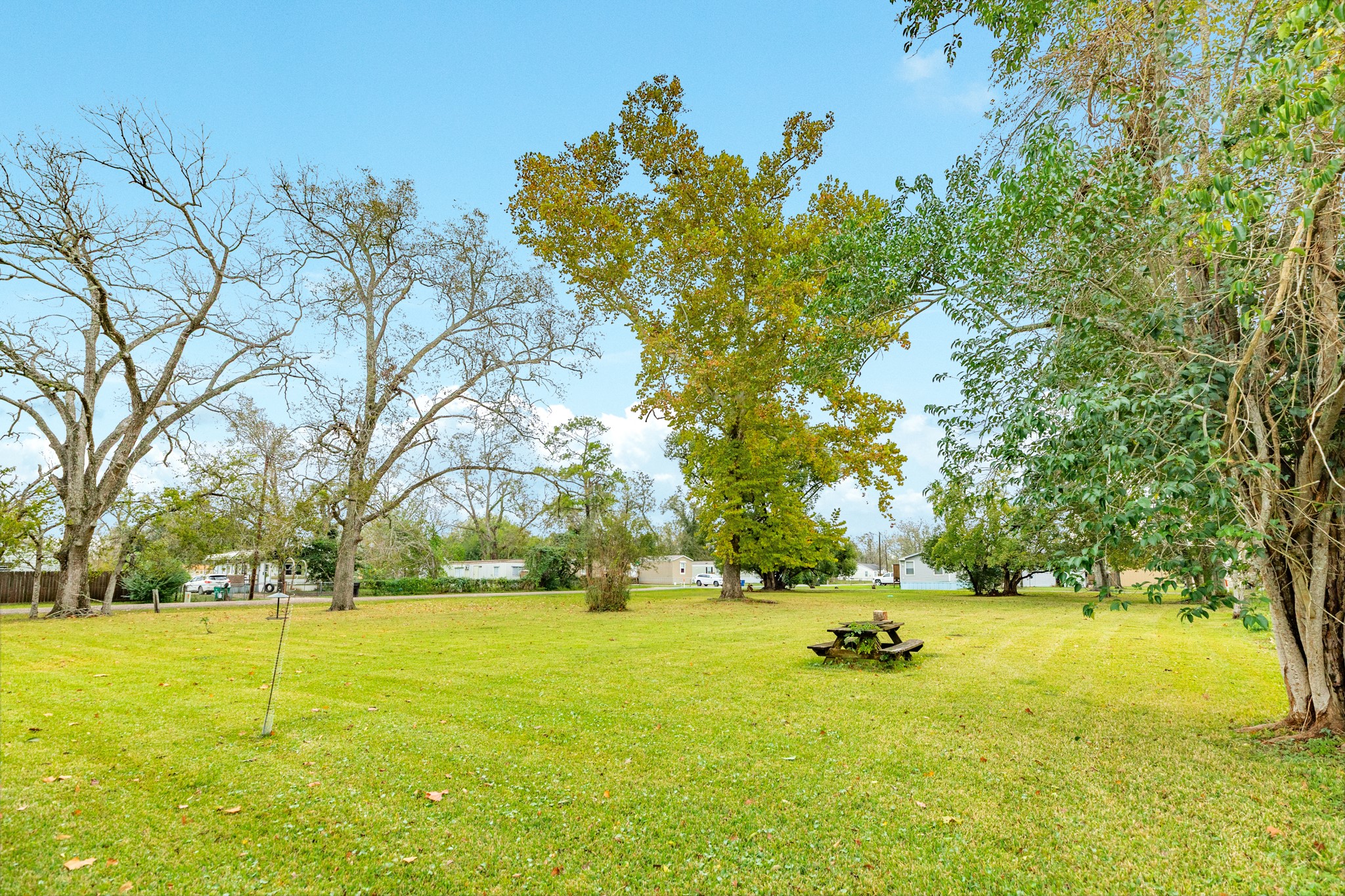 404 Chestnut Street Brazoria, TX 77422 - Photo 29 of 30 a view of yard with swimming pool