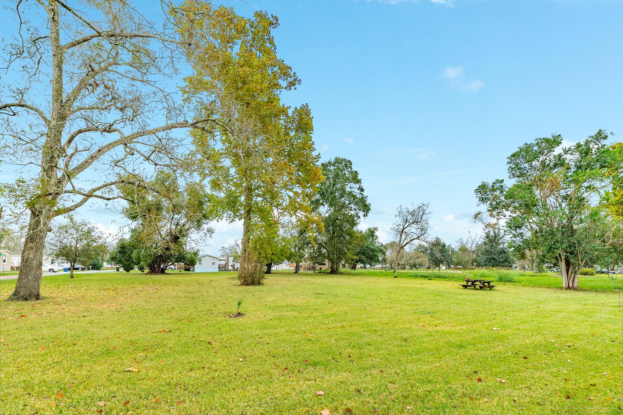 404 Chestnut Street Brazoria, TX 77422 - Photo 30 of 30 a view of yard with green space