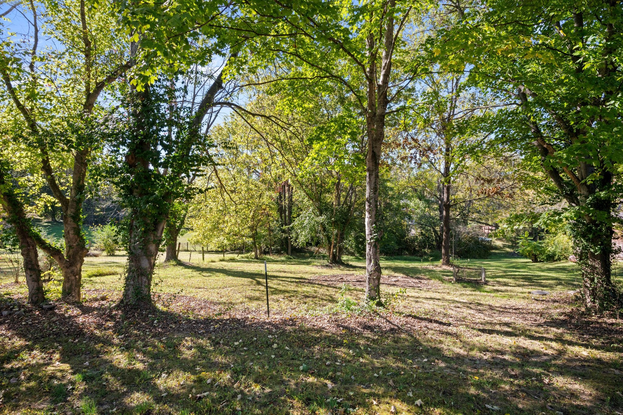 1105 Taylortown Road White Bluff, TN 37187 - Photo 26 of 27 a view of a field with trees in the background