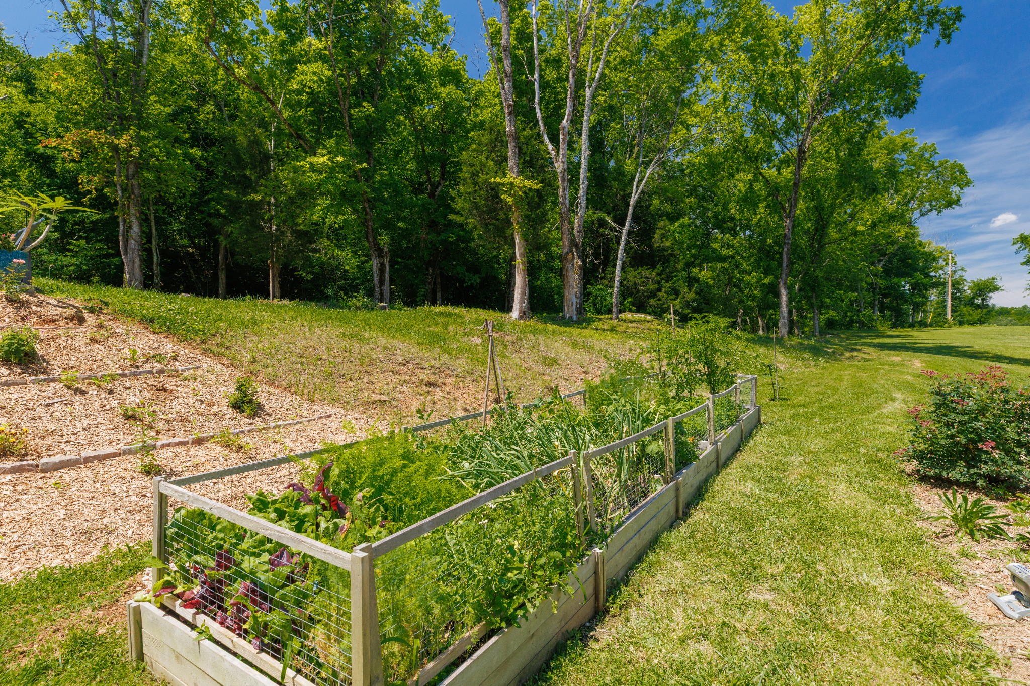 2022 Southport Road Culleoka, TN 38451 - Photo 59 of 71
