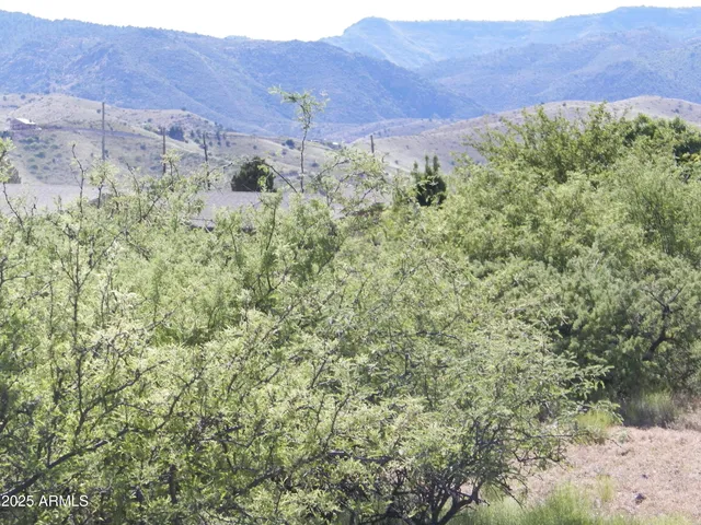 a view of a field with a tree in the background