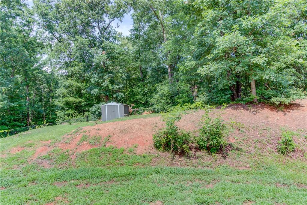 154 Rolling Oaks Lane Colbert, GA 30628 - Photo 31 of 40