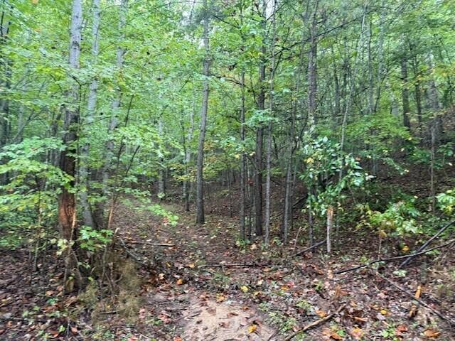 13 Sawmill Road Palmer, TN 37365 - Photo 10 of 16 Gallery Image 10