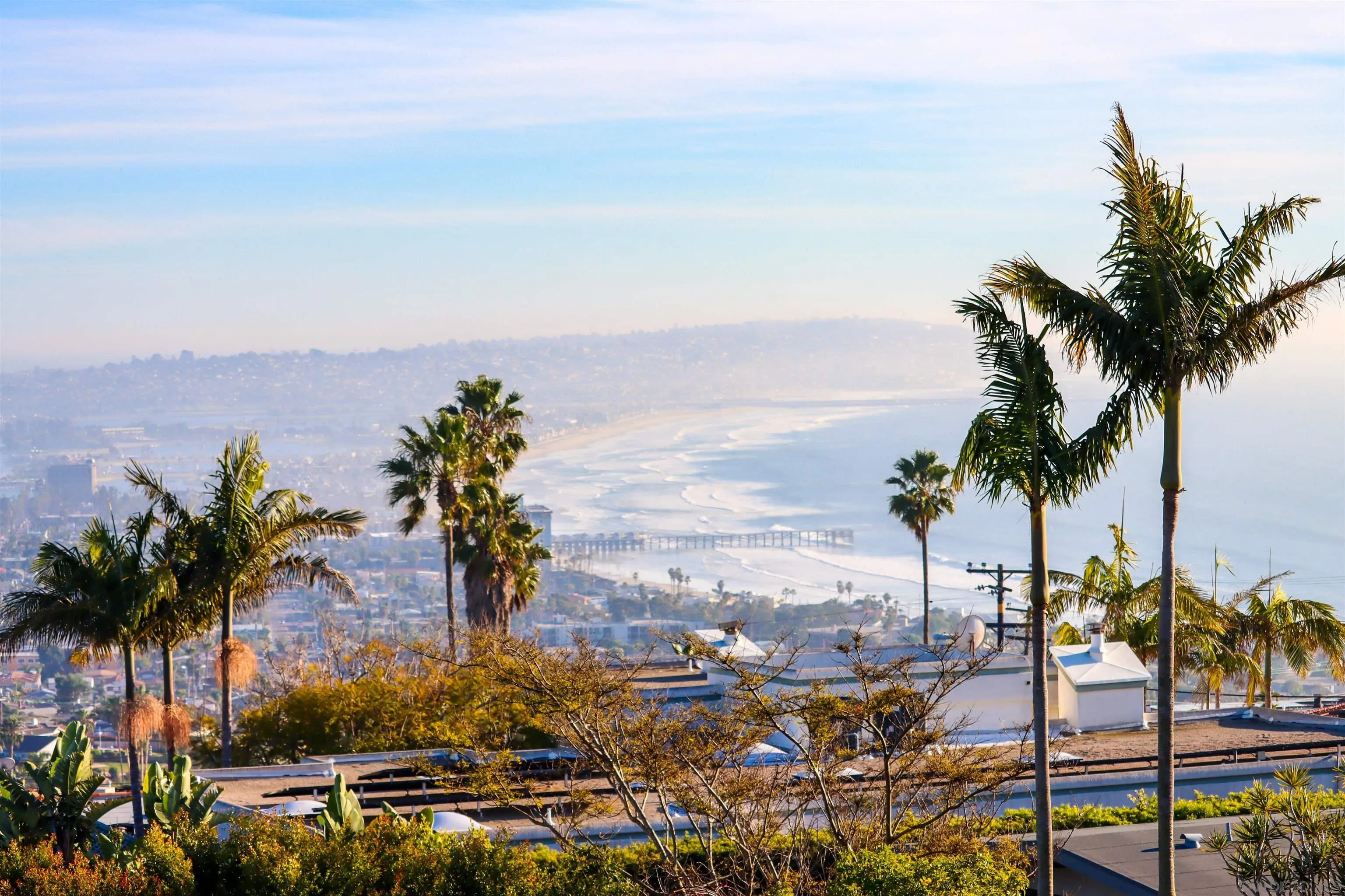 1205 La Jolla Rancho Road La Jolla, CA 92037 - Photo 72 of 75 a view of a city with palm trees