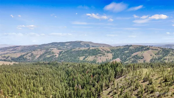 an aerial view of houses covered in trees