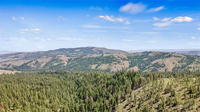 an aerial view of houses covered in trees