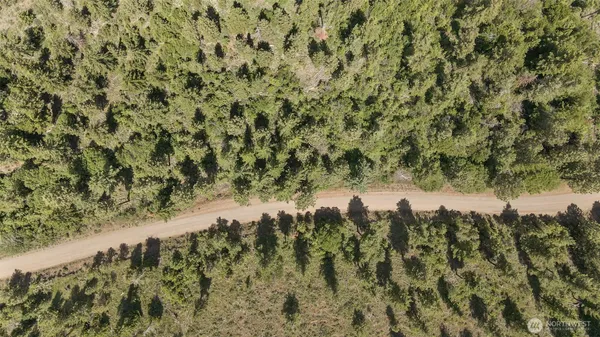 a view of a city with green space