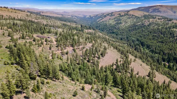 a view of a pathway with a yard