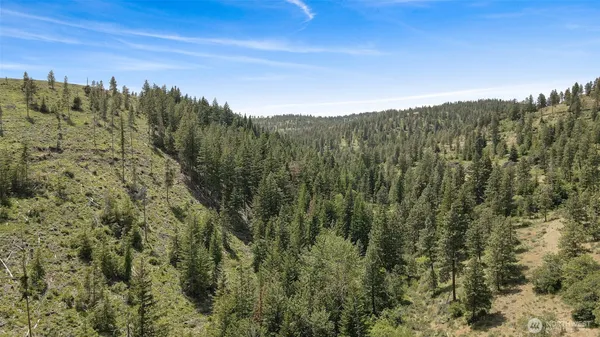 a view of a city with lush green forest