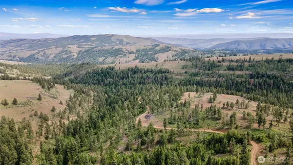 an aerial view of houses covered in trees