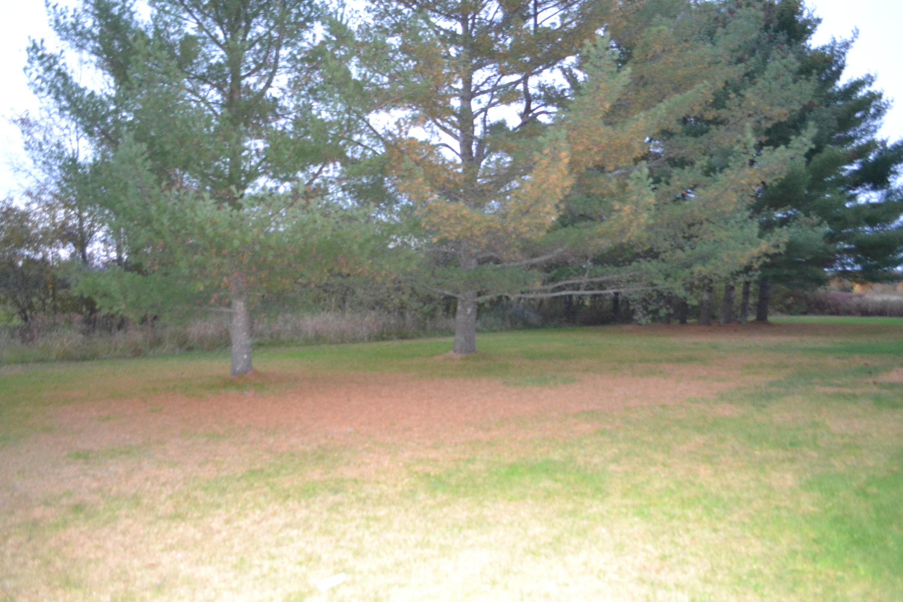 68 Exeter Road Corinna, ME 04928 - Photo 15 of 15 DSC_0801