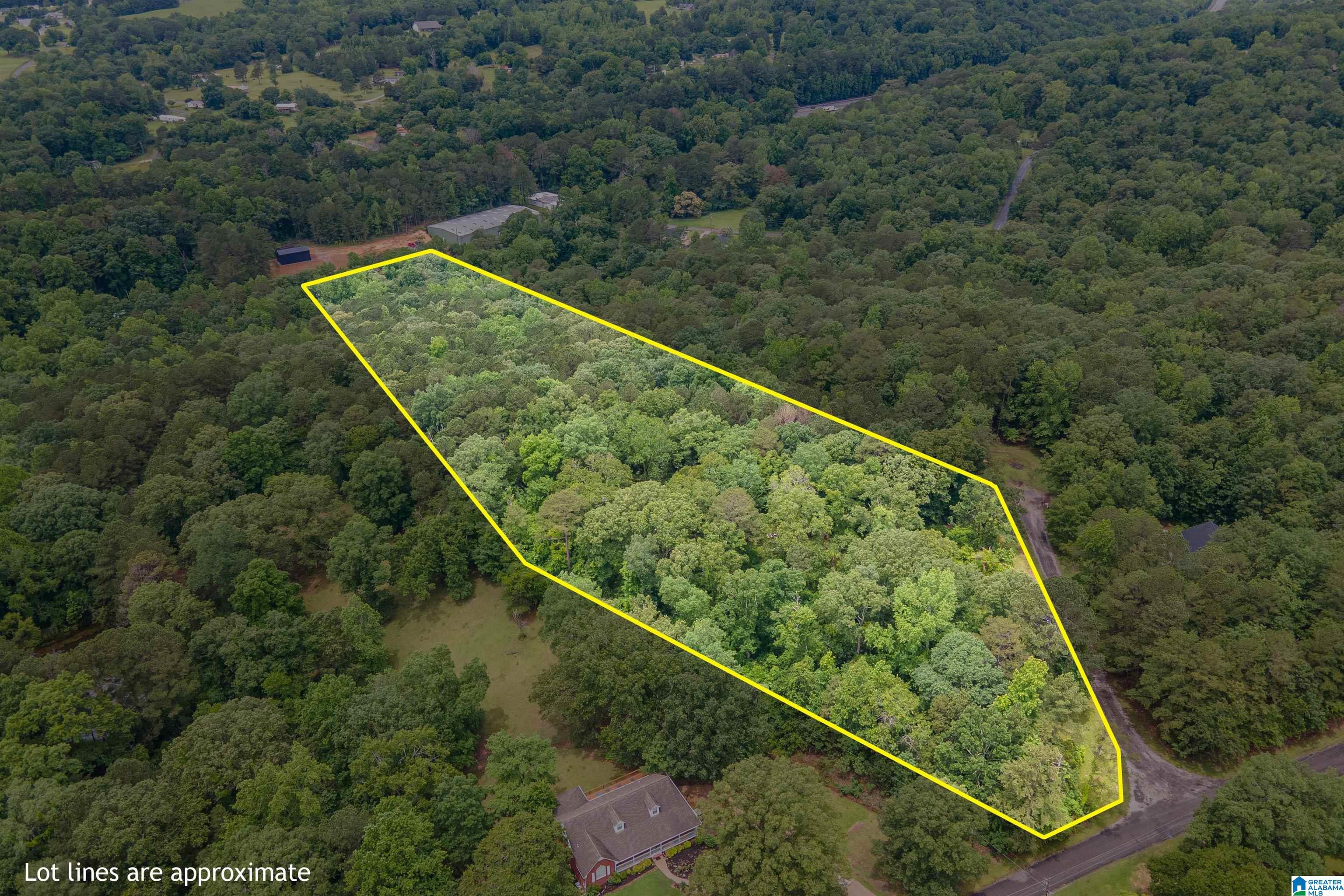 37 Forest Lane Warrior, AL 35180 - Photo 1 of 10