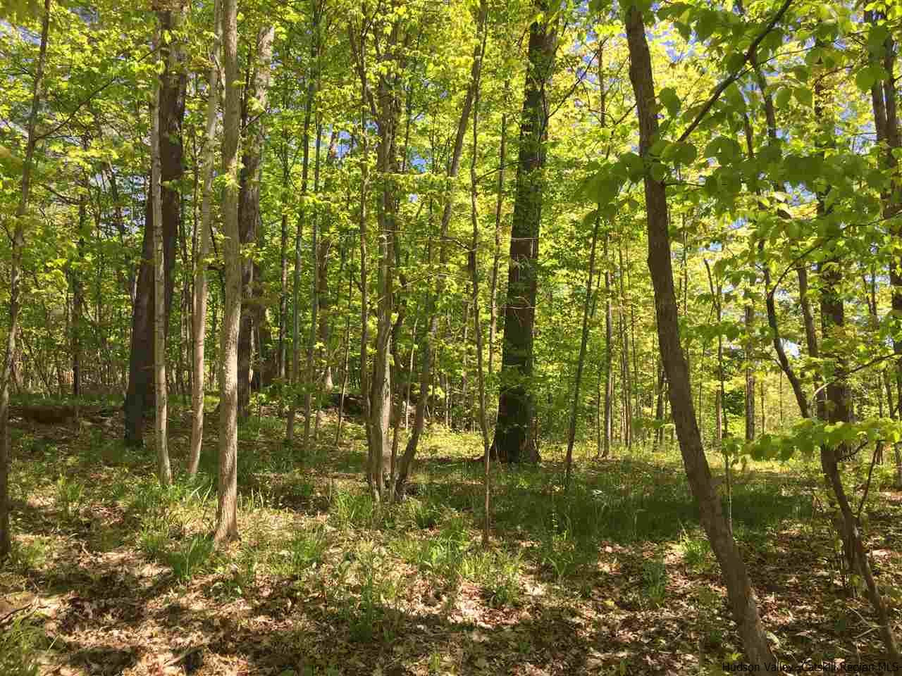 Tbd Kyserike Road High Falls, NY 12440 - Photo 6 of 23 a backyard of a house with lots of green space