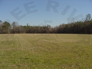 0 Thoroughfare Road Washington, NC 27889 - Photo 1 of 1 Primary Photo