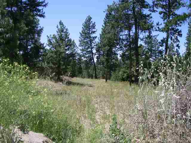 25 East Wild Rose Road Colbert, WA 99005 - Photo 2 of 4