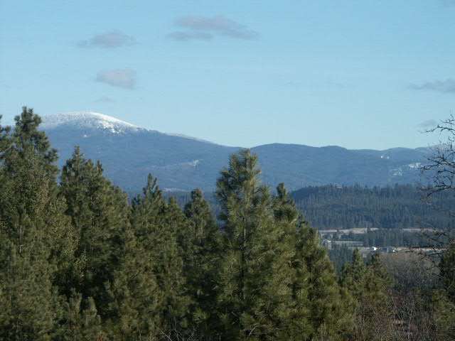 25 East Wild Rose Road Colbert, WA 99005 - Photo 3 of 4