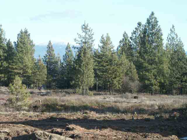 25 East Wild Rose Road Colbert, WA 99005 - Photo 4 of 4