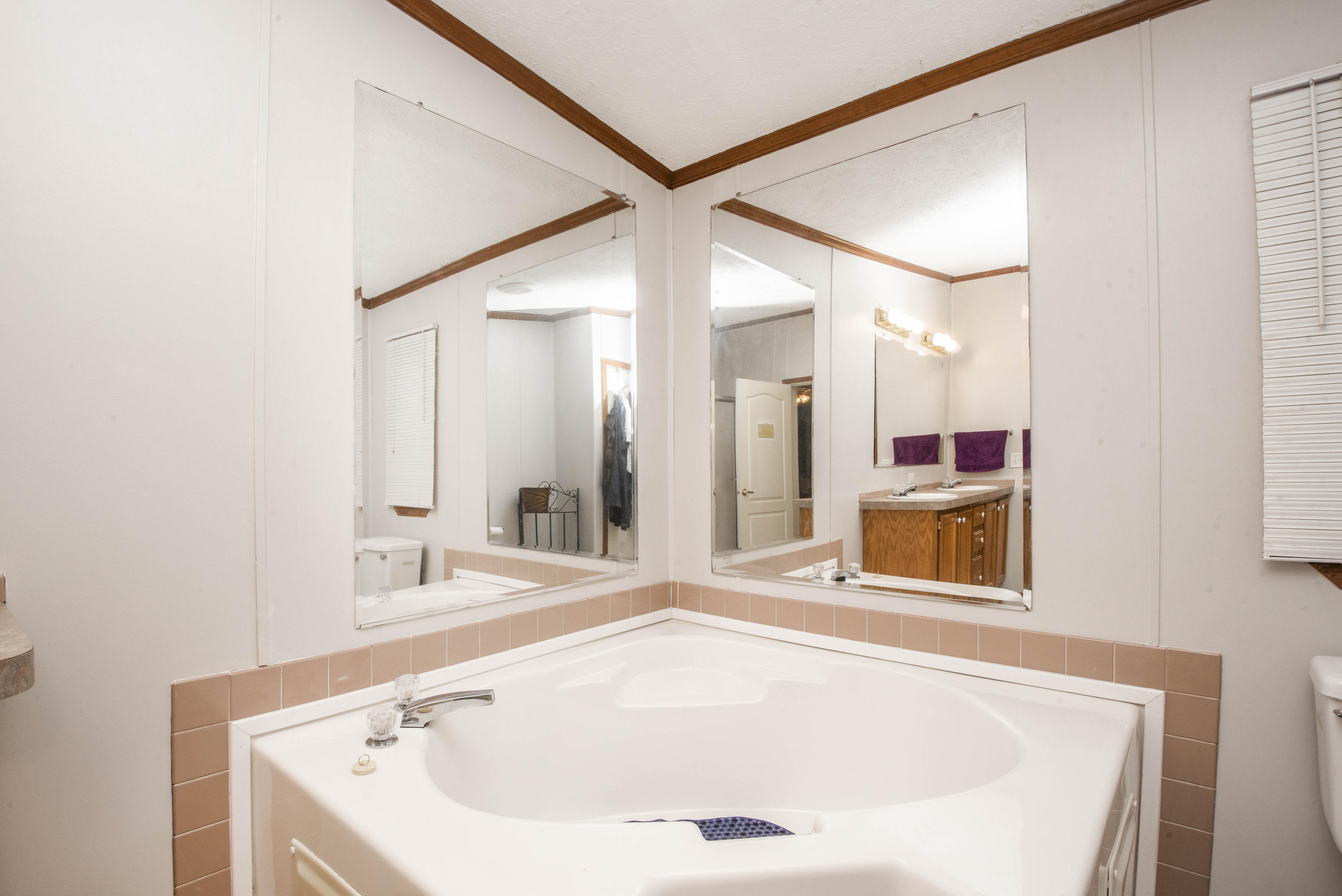 2820 New Blockhouse Road Maryville, TN 37803 - Photo 21 of 38 Master bath_1