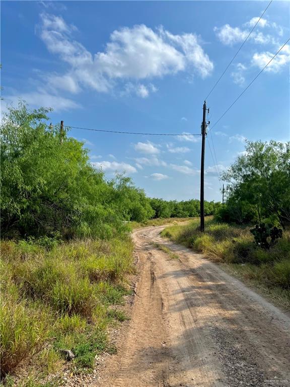 7739 Chihuahua Road Mission, TX 78572 - Photo 4 of 6 a view of a pathway with a yard