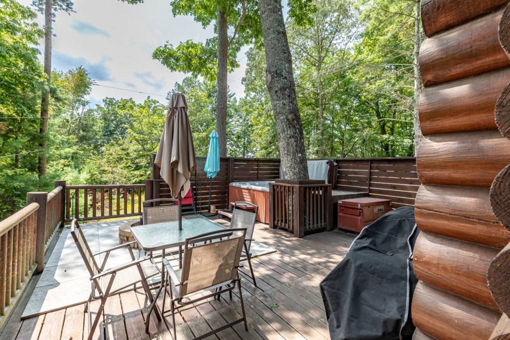 20 Mountain View Trail Blue Ridge, GA 30513 - Photo 22 of 34