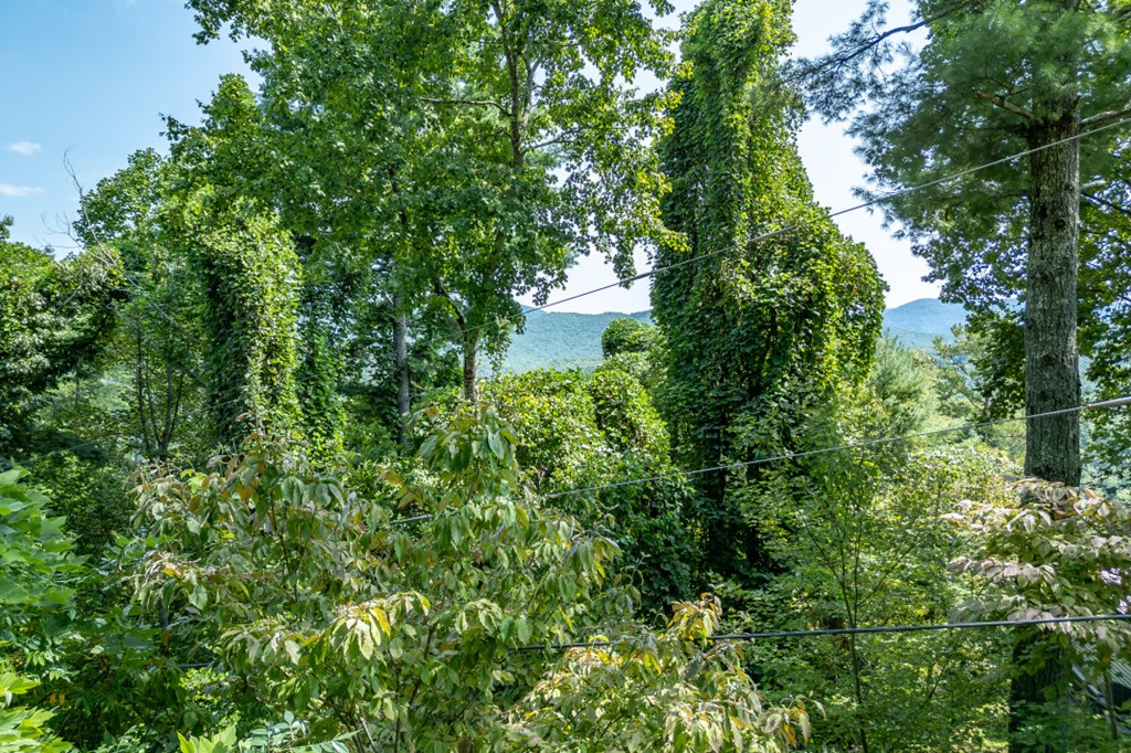 20 Mountain View Trail Blue Ridge, GA 30513 - Photo 30 of 34