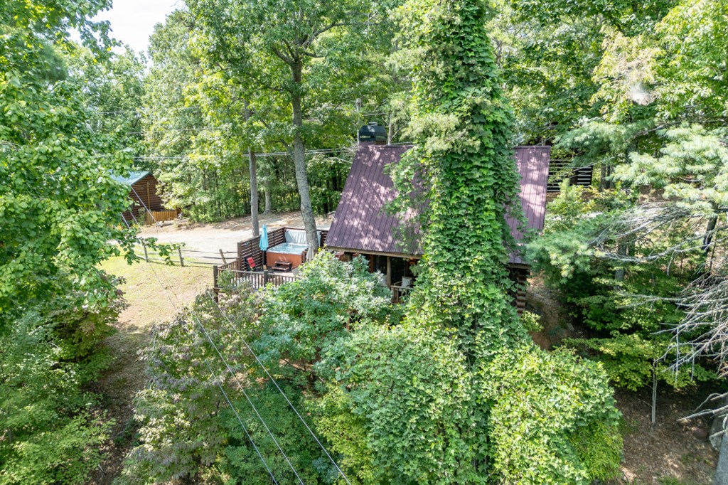 20 Mountain View Trail Blue Ridge, GA 30513 - Photo 31 of 34