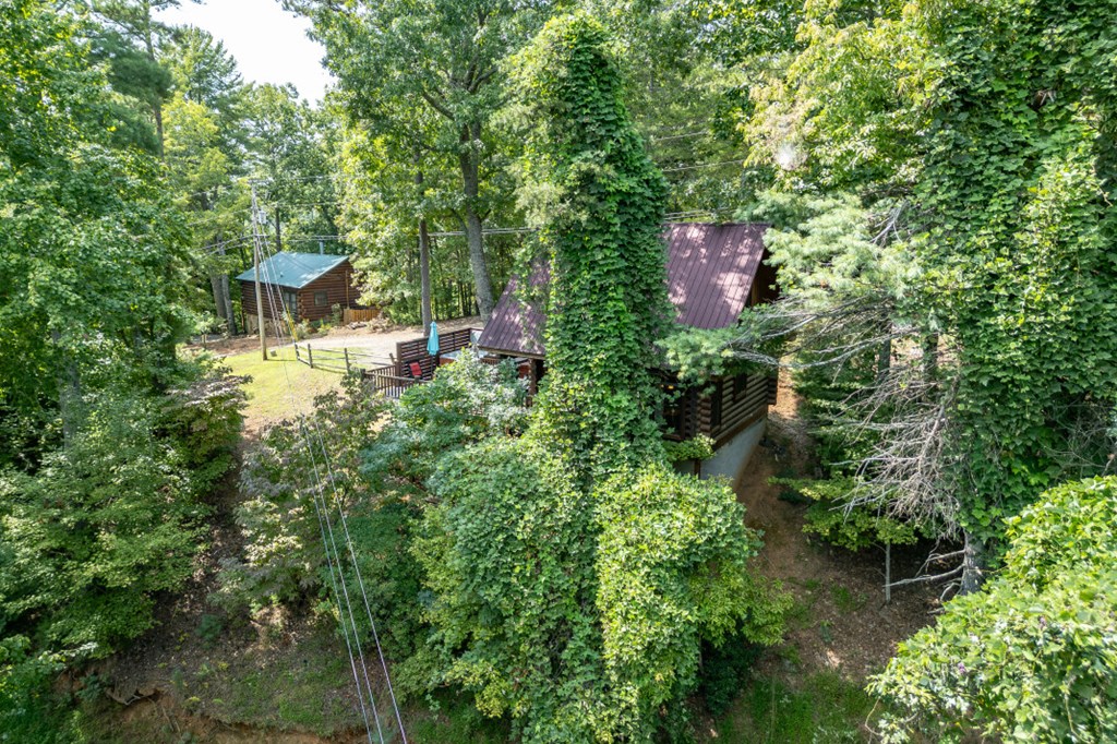 20 Mountain View Trail Blue Ridge, GA 30513 - Photo 32 of 34