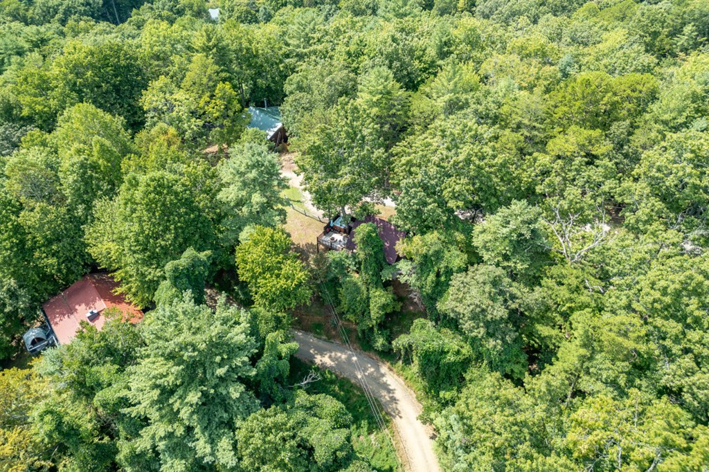 20 Mountain View Trail Blue Ridge, GA 30513 - Photo 33 of 34