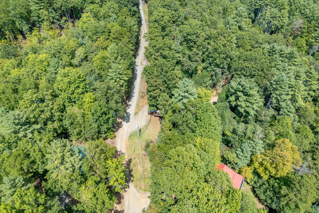 20 Mountain View Trail Blue Ridge, GA 30513 - Photo 34 of 34