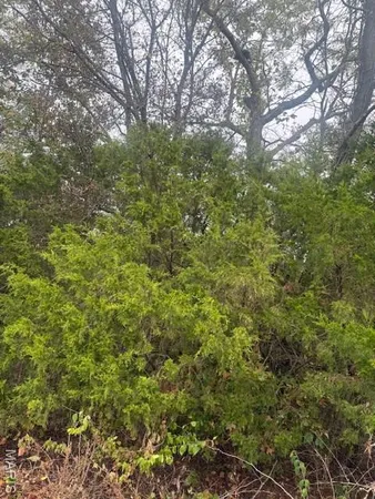 $115,000 | Lot 6 Tulley Road, New Haven, MO 63068