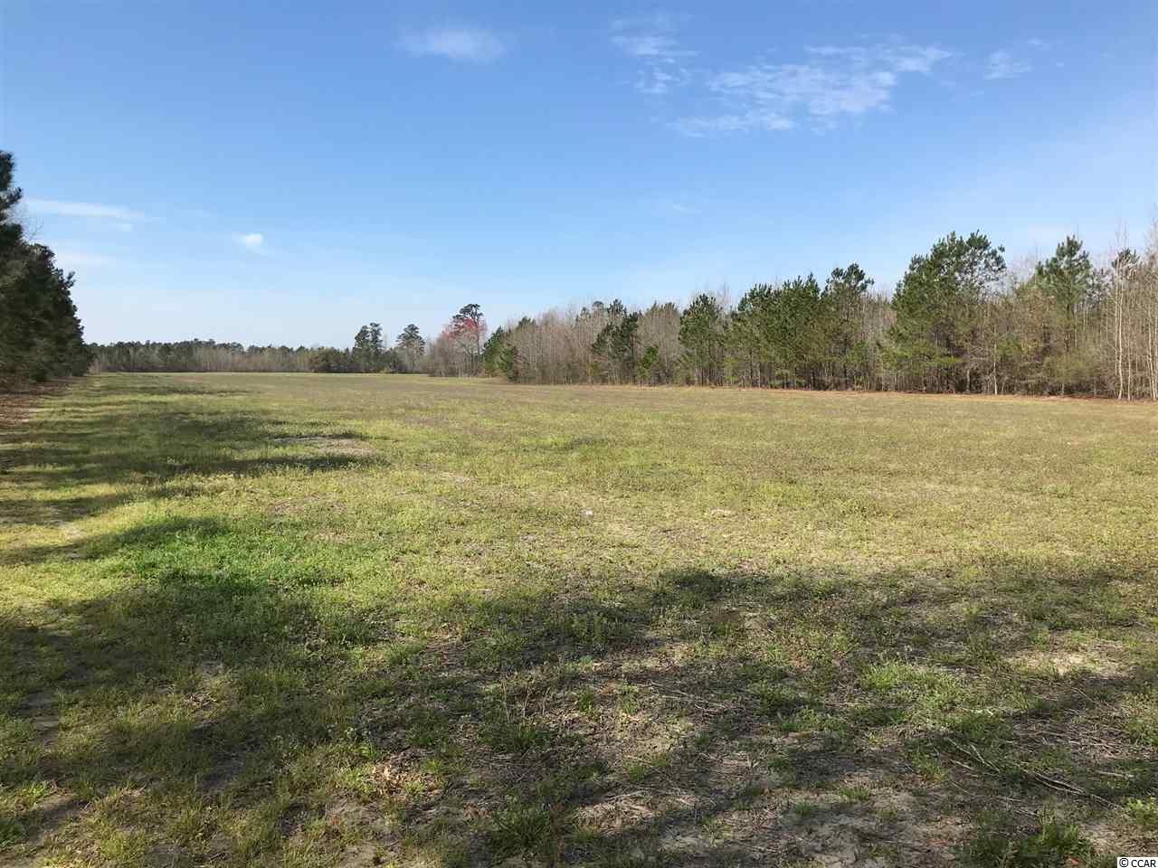 Tbd Williamson Road Hemingway, SC 29554 - Photo 1 of 4