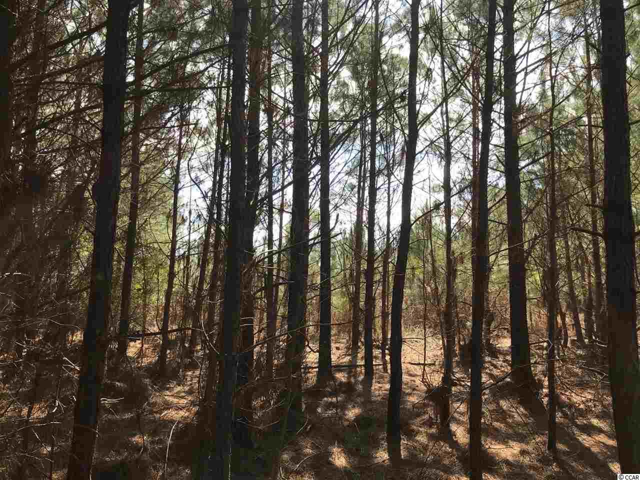 Tbd Williamson Road Hemingway, SC 29554 - Photo 2 of 4