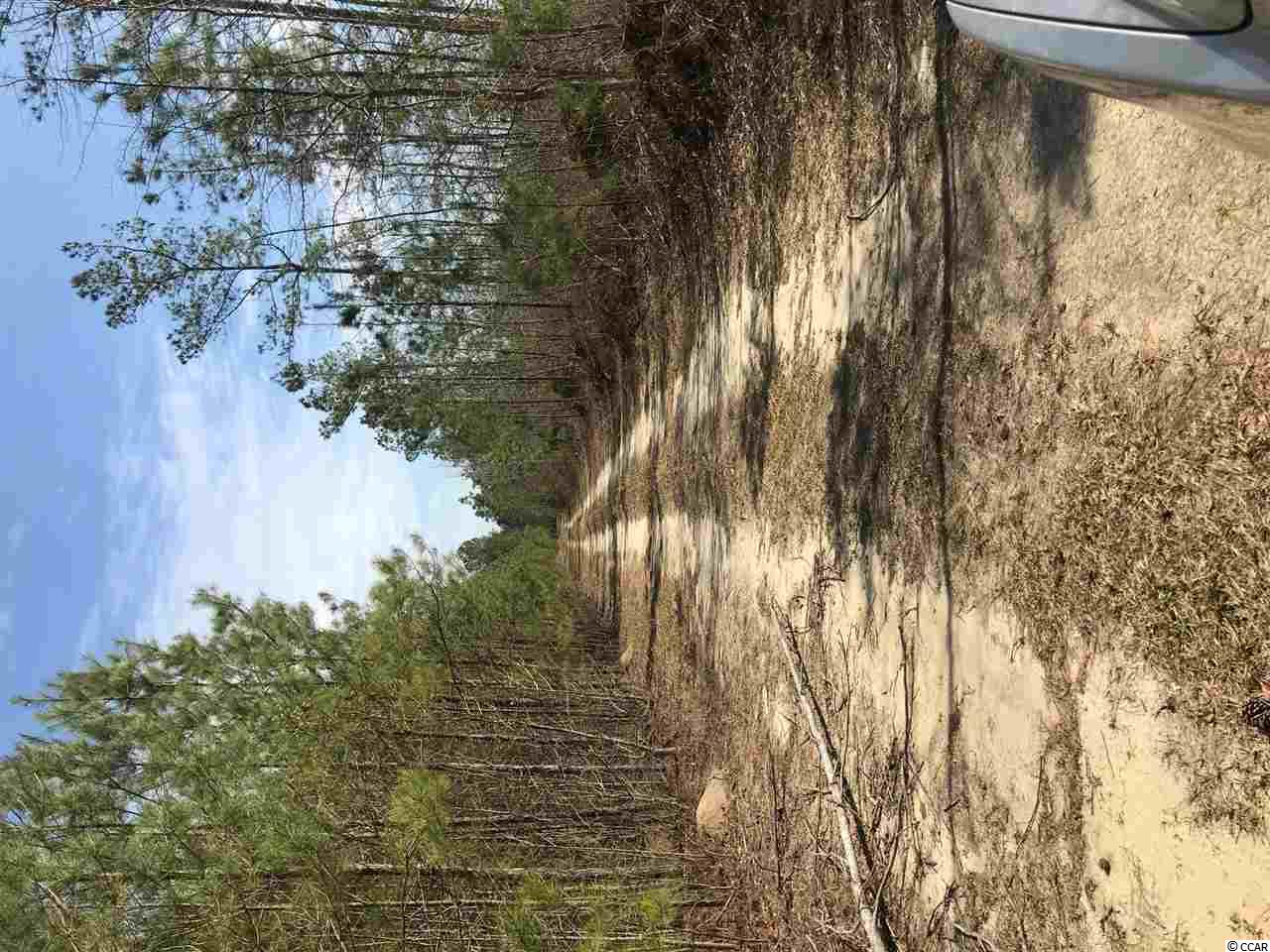 Tbd Williamson Road Hemingway, SC 29554 - Photo 3 of 4