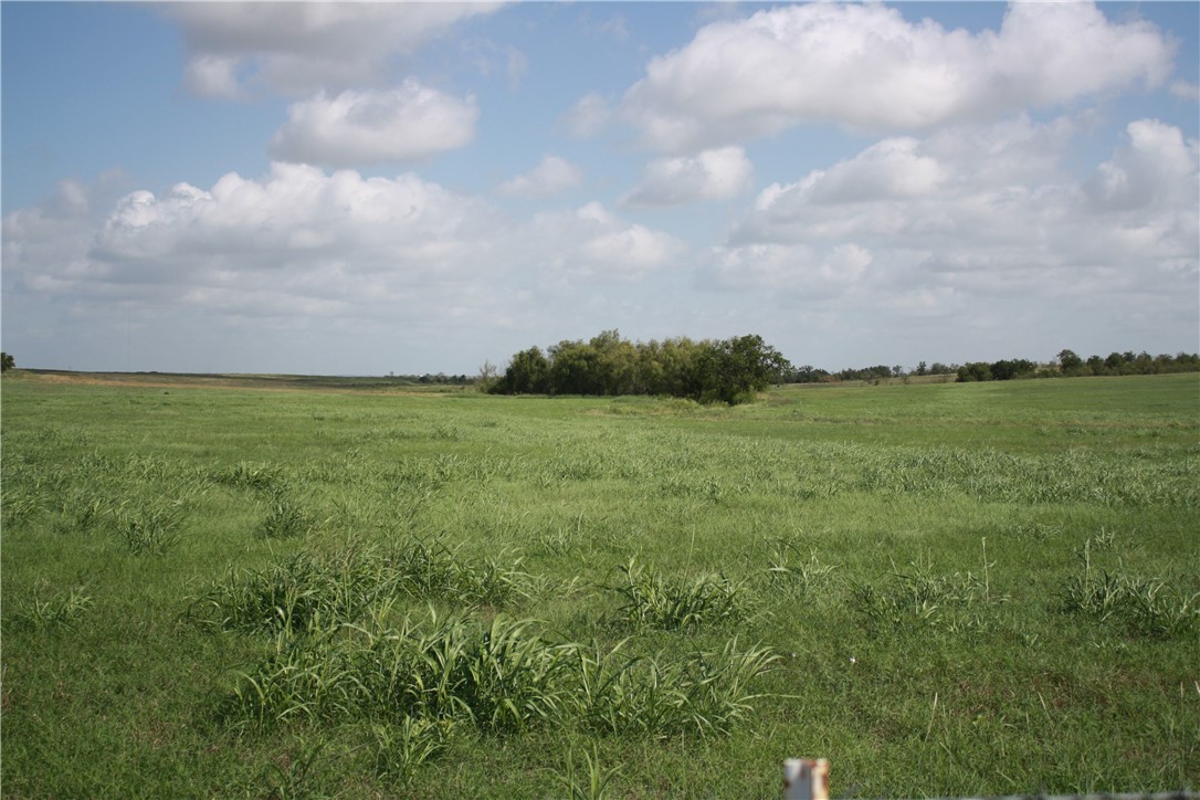 501 Fm 935 Troy, TX 76579 - Photo 14 of 29
