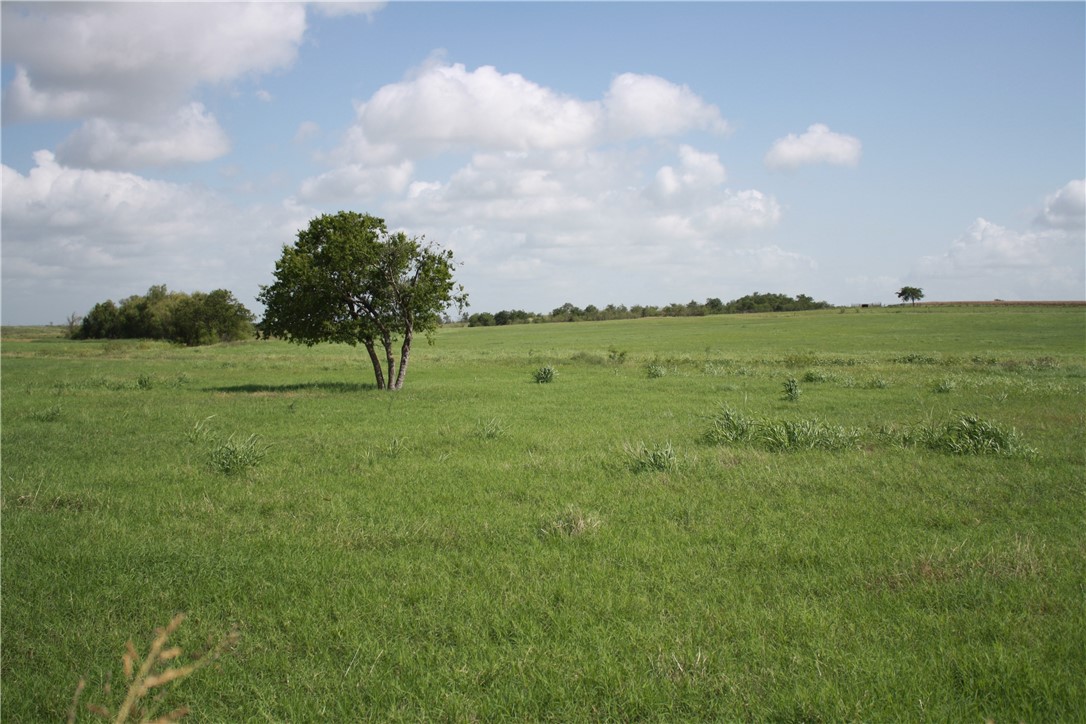 501 Fm 935 Troy, TX 76579 - Photo 8 of 29
