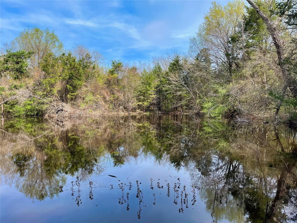 a view of a lake in between the trees