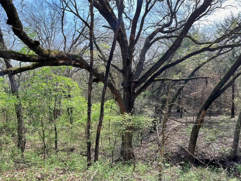 2645 St Ector Tx 75439 Bonham, TX 75418 - Photo 15 of 23 a backyard of a house with lots of green space