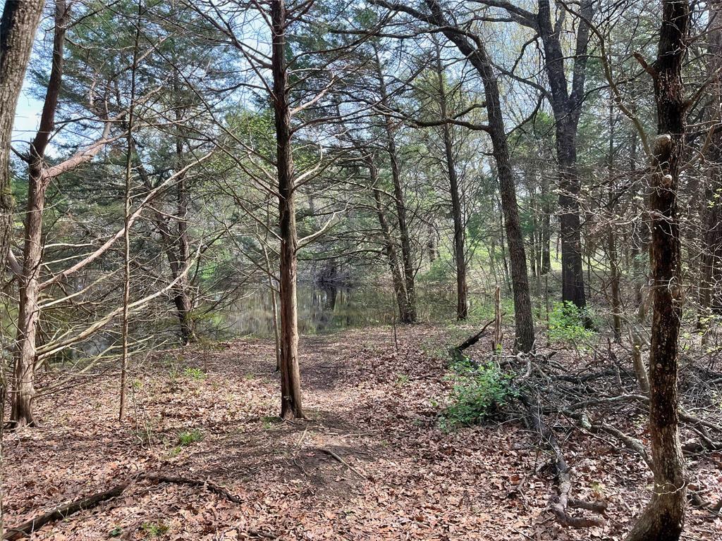 2645 St Ector Tx 75439 Bonham, TX 75418 - Photo 17 of 23 a backyard of a house with lots of green space