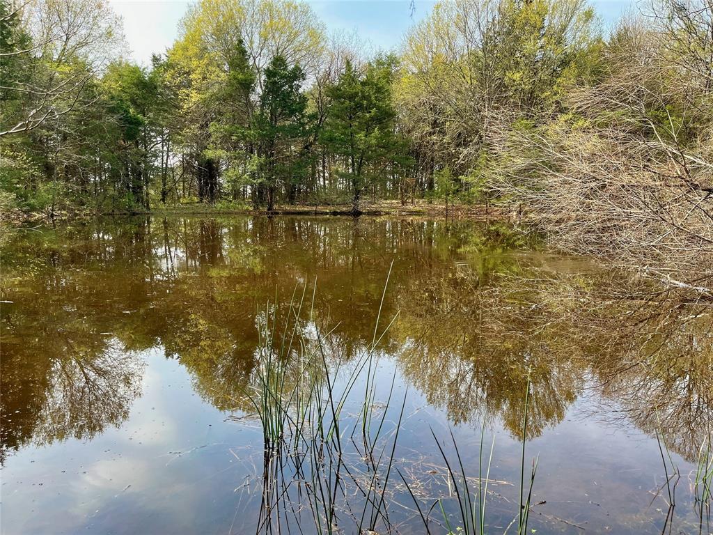 2645 St Ector Tx 75439 Bonham, TX 75418 - Photo 18 of 23 a view of lake with a house in background