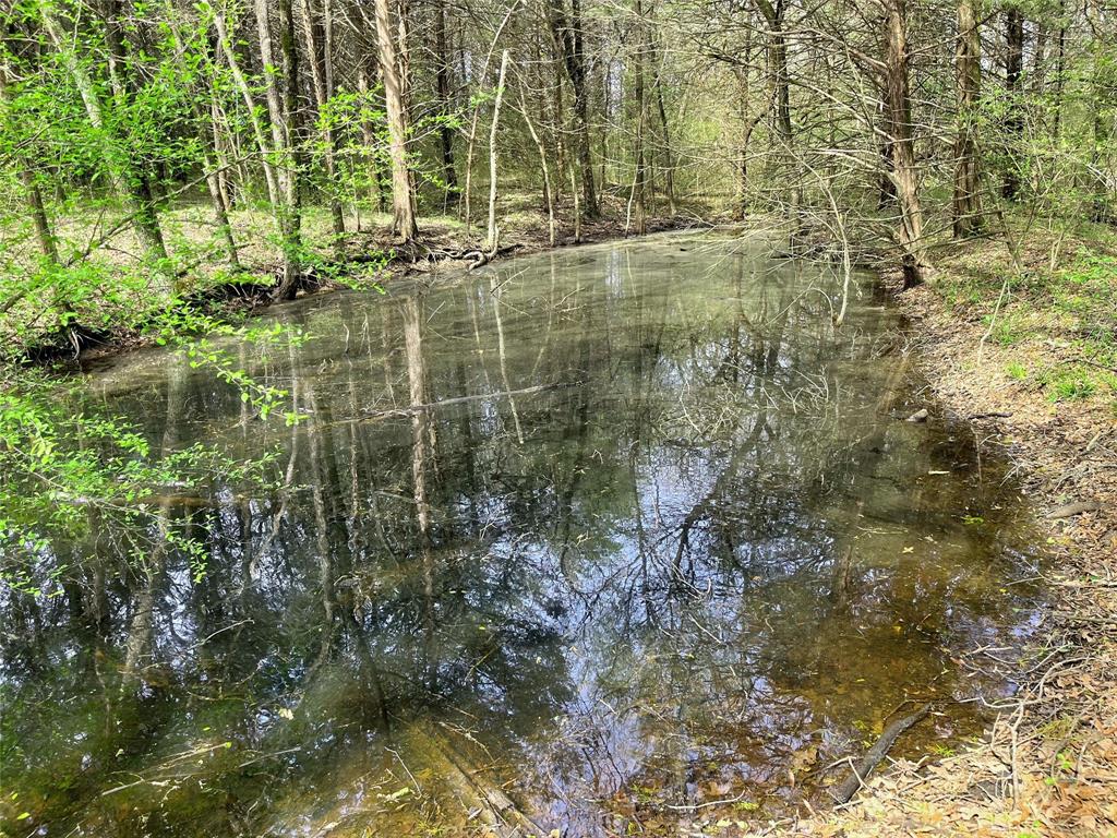 2645 St Ector Tx 75439 Bonham, TX 75418 - Photo 23 of 23 a bathroom with a shower