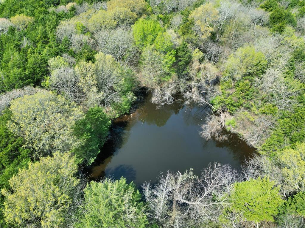 2645 St Ector Tx 75439 Bonham, TX 75418 - Photo 5 of 23 a view of a lake with a yard