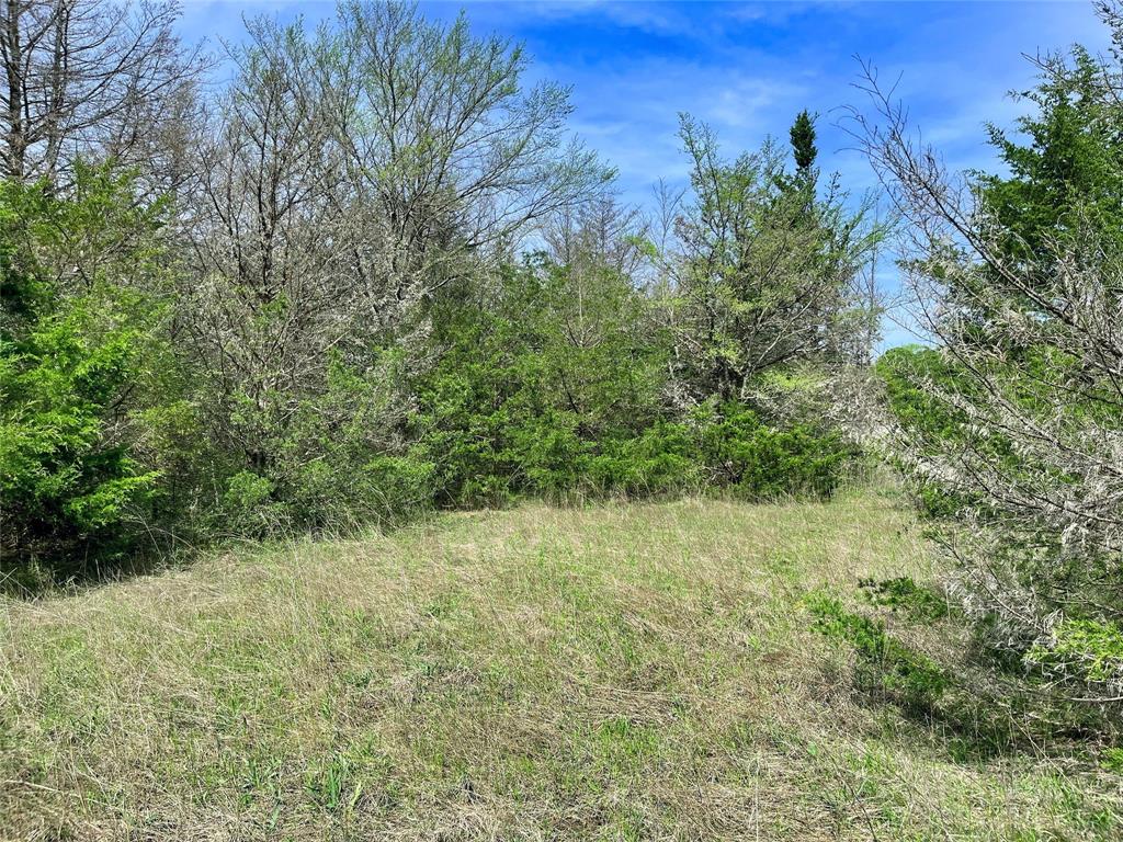 2645 St Ector Tx 75439 Bonham, TX 75418 - Photo 6 of 23 a view of a large yard with lots of green space