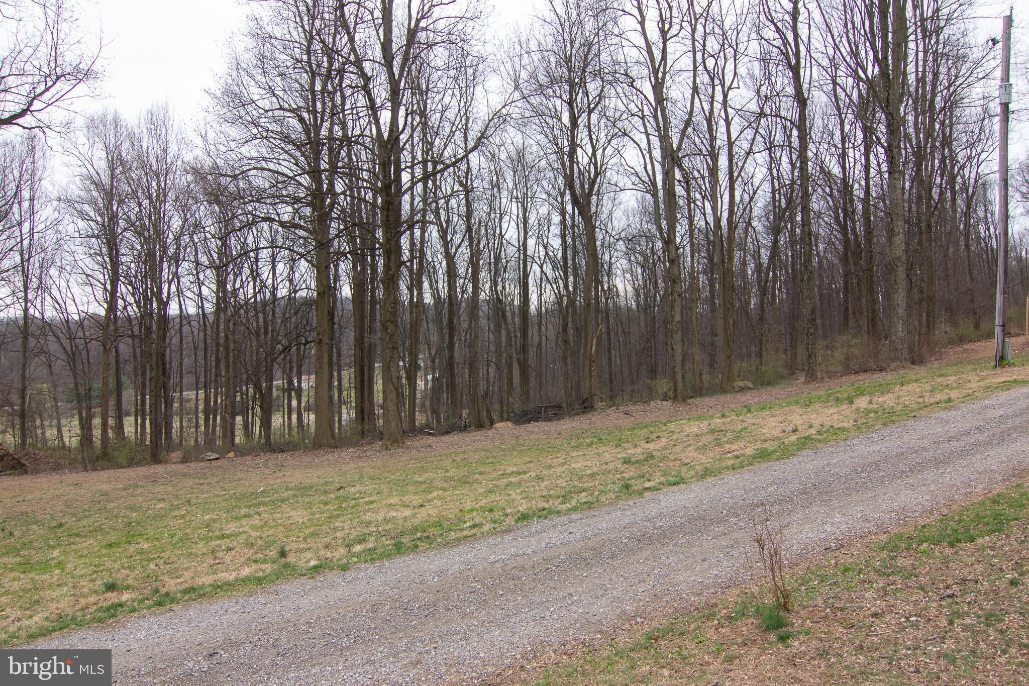 950 Green Springs Road Hanover, PA 17331 - Photo 41 of 42 Tree lined and no thru-street so no traffic