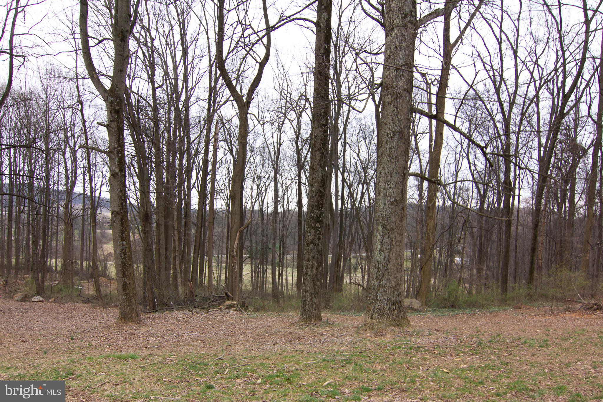 950 Green Springs Road Hanover, PA 17331 - Photo 42 of 42 Spring growth will make for beautiful tree line
