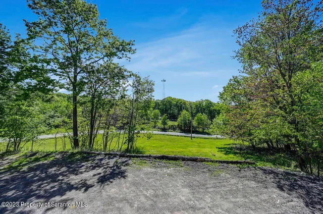 a view of a yard with a tree