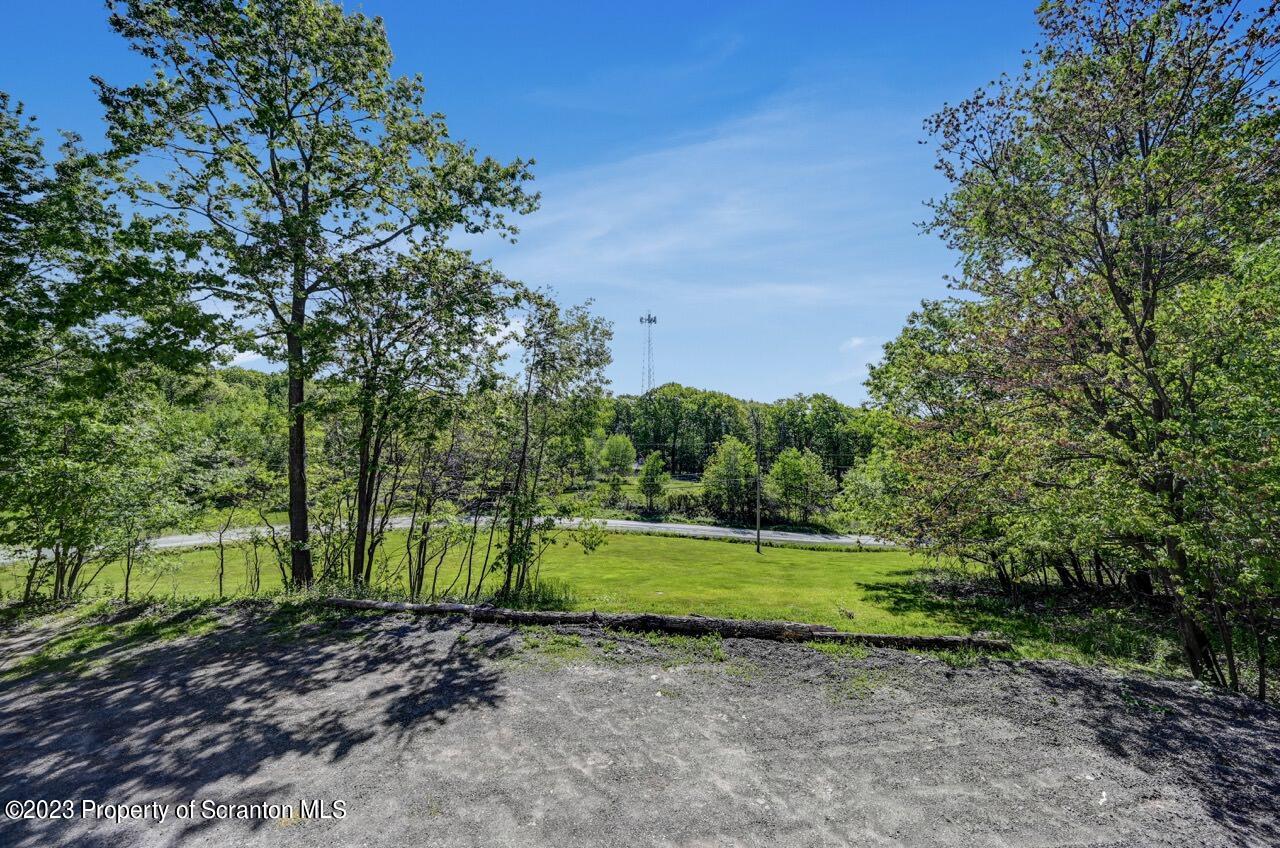 51 Butler Hill Road Lake Ariel, PA 18436 - Photo 17 of 33 a view of a yard with a tree