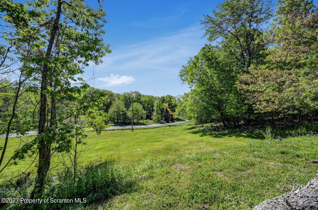 51 Butler Hill Road Lake Ariel, PA 18436 - Photo 28 of 33 a view of an outdoor space and a yard