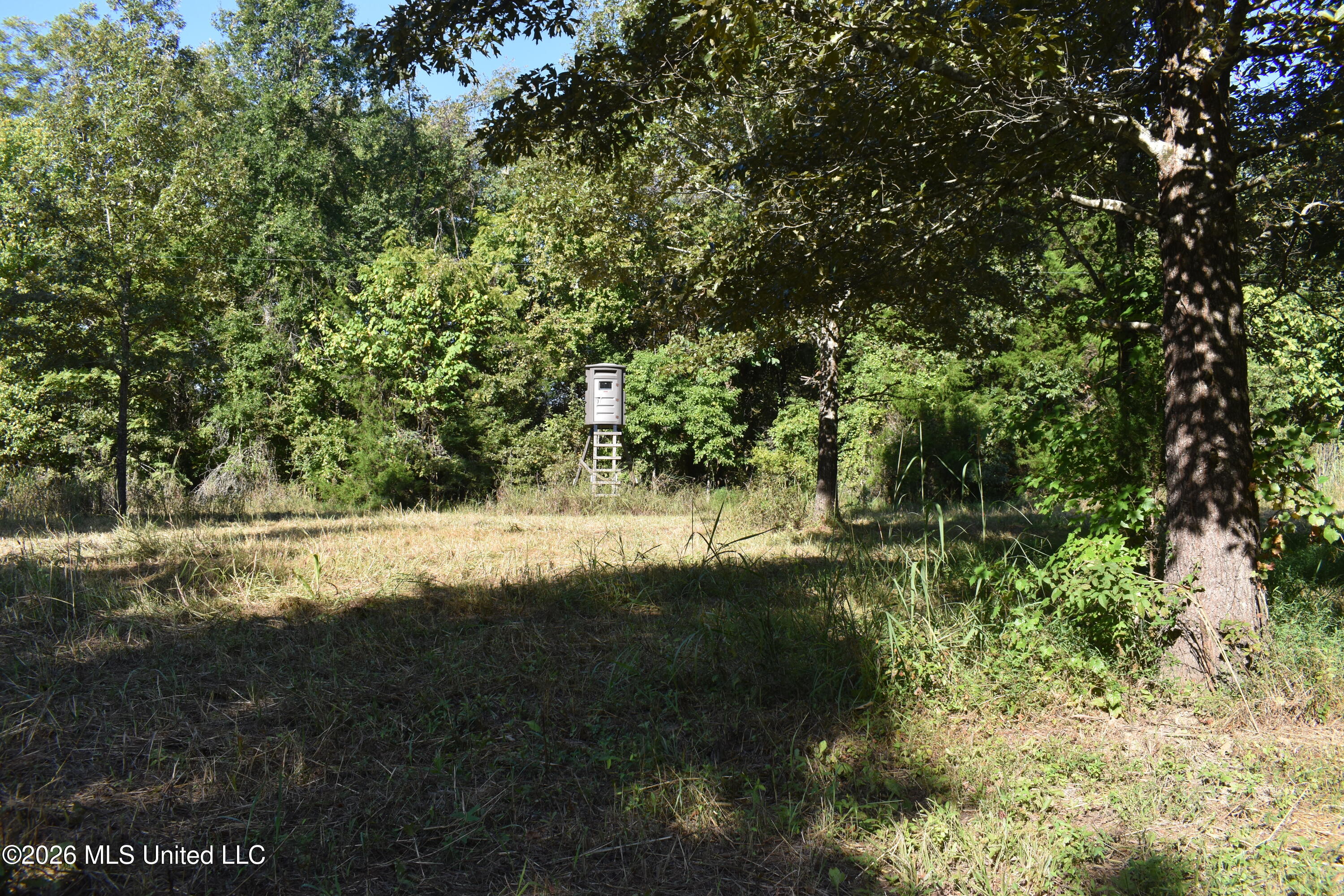390 Old Panola Road Como, MS 38619 - Photo 25 of 71 DSC_0161