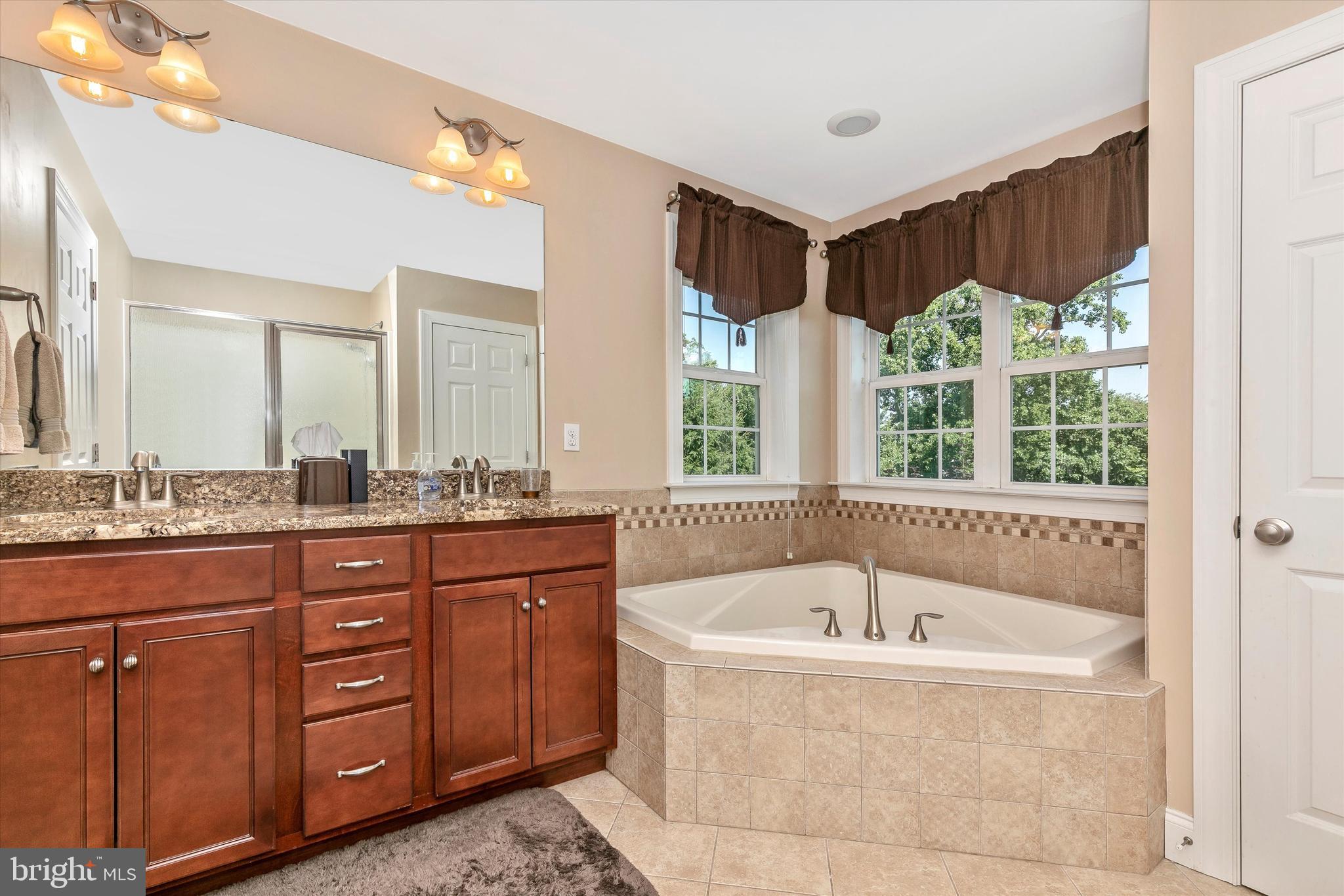 484 Hopewell Road Downingtown, PA 19335 - Photo 35 of 112 Soaking tub and double sink