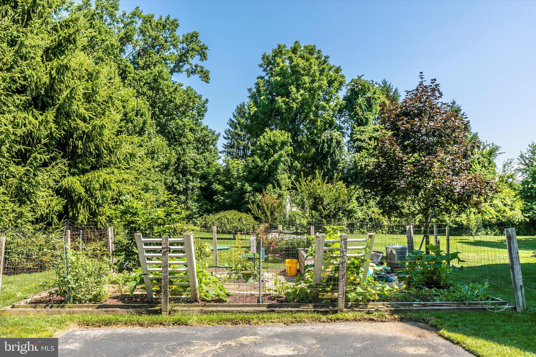 484 Hopewell Road Downingtown, PA 19335 - Photo 64 of 112 Lovely yard